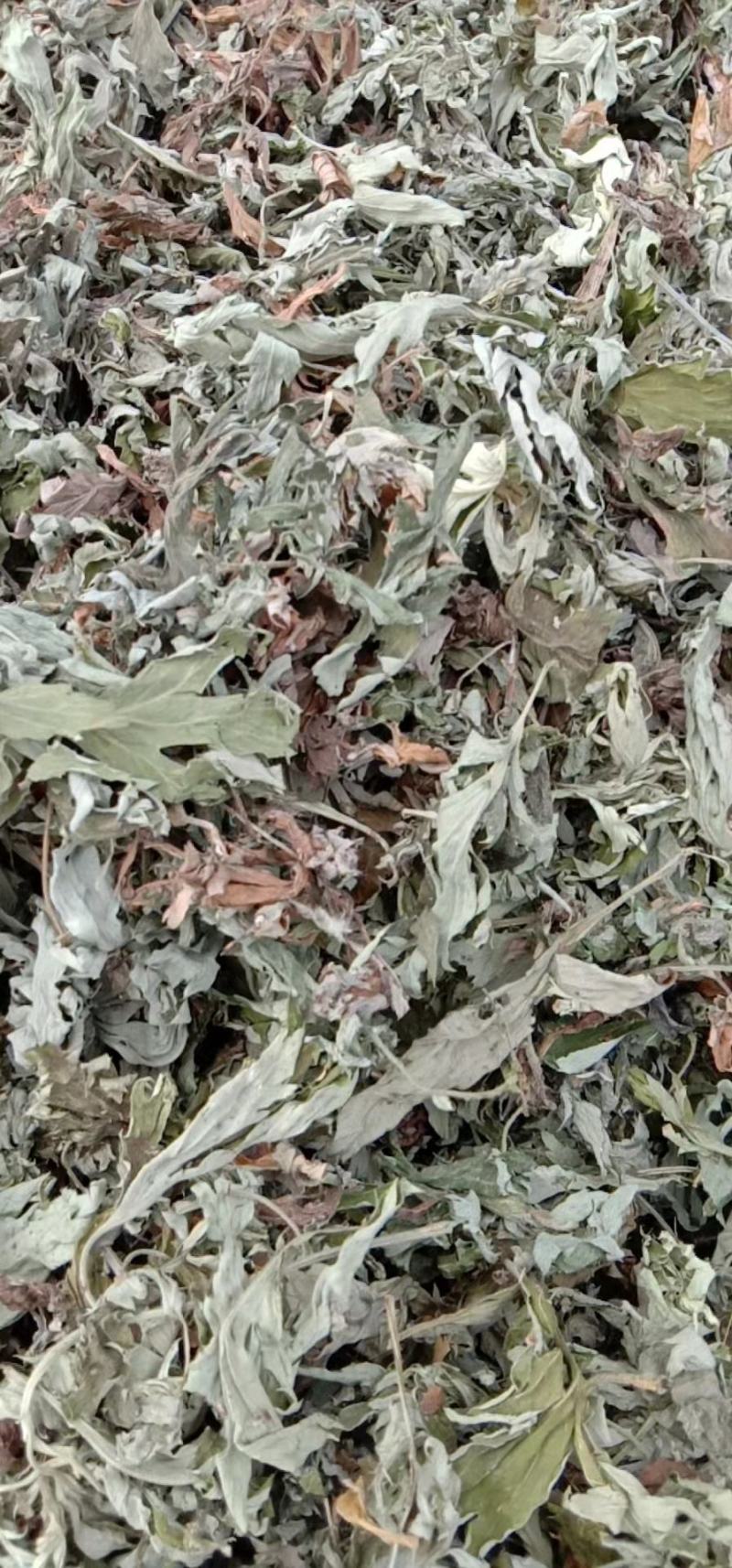 艾叶艾草干艾叶，中草药批发干净无杂质量大从优产地