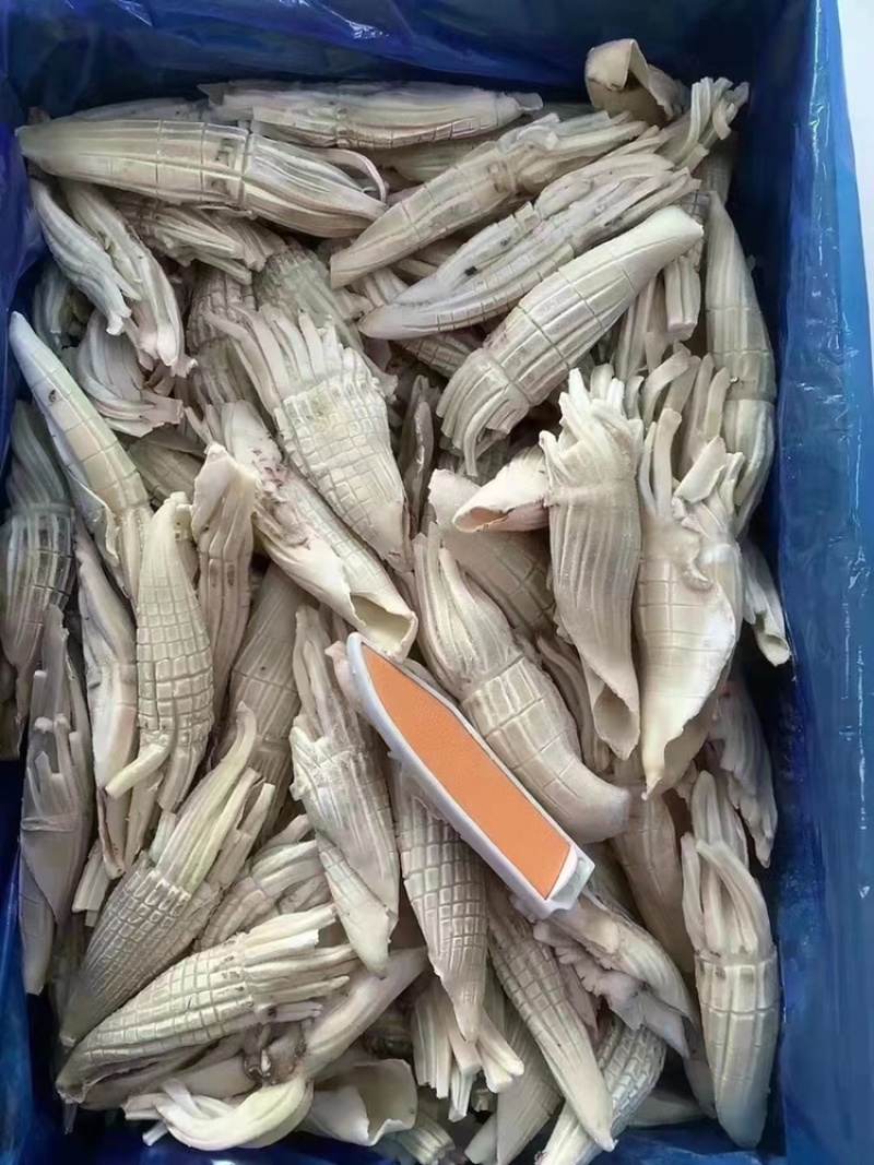 网红爆款火箭鱿鱼纯干冰去箱10斤装火锅汤锅
