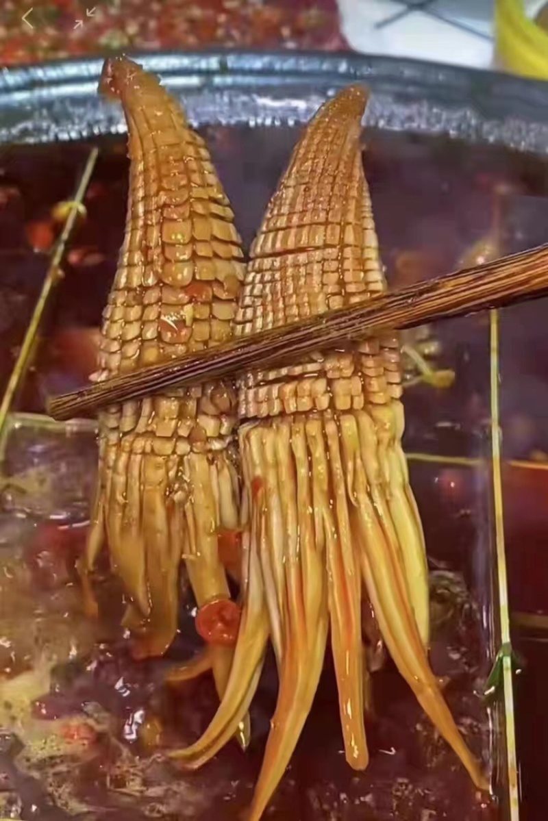 网红爆款火箭鱿鱼纯干冰去箱10斤装火锅汤锅