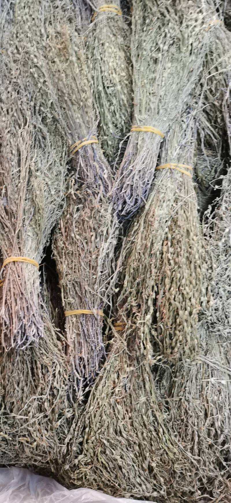 独脚金新货青绿货质量正宗包邮规格齐全产地直发一手货源