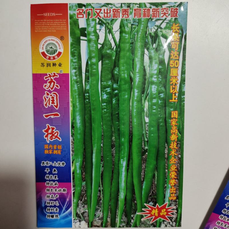 苏润一椒辣椒种子，苏润一椒辣椒种子，苏润一椒辣椒种子