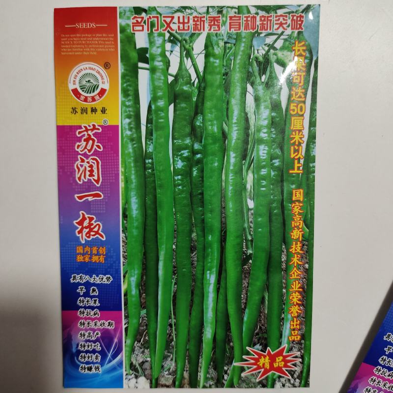 苏润一椒辣椒种子，苏润一椒辣椒种子，苏润一椒辣椒种子