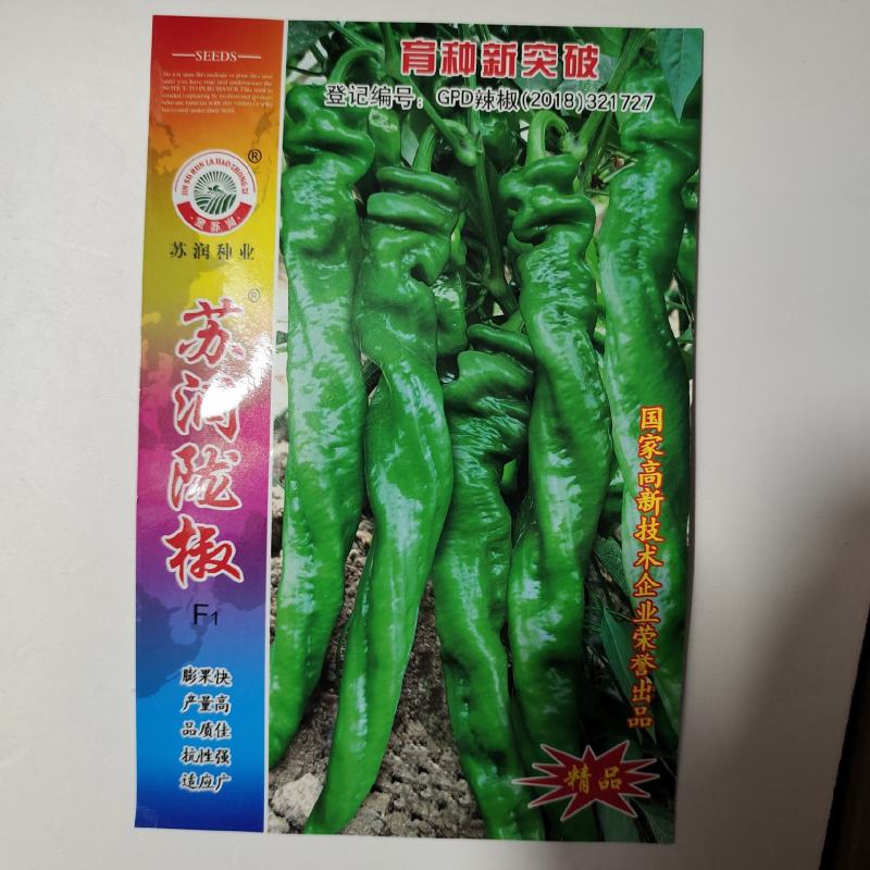 苏润陇椒种子皱皱辣早熟绿色辣椒种子，苏润皱皮椒种子