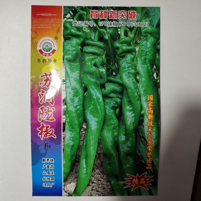 苏润陇椒种子皱皱辣早熟绿色辣椒种子，苏润皱皮椒种子