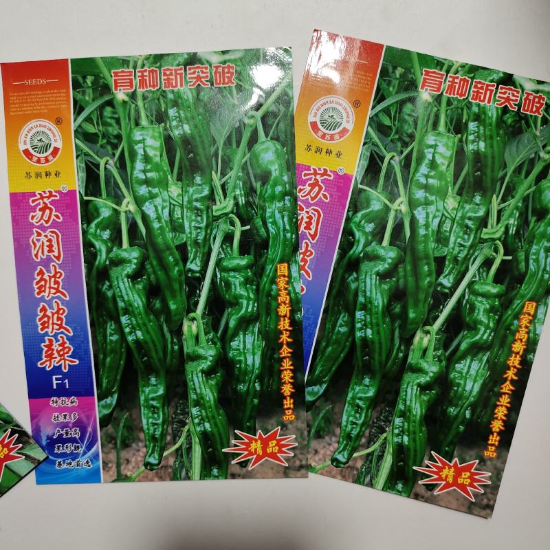 苏润陇椒种子皱皱辣早熟绿色辣椒种子，苏润皱皮椒种子