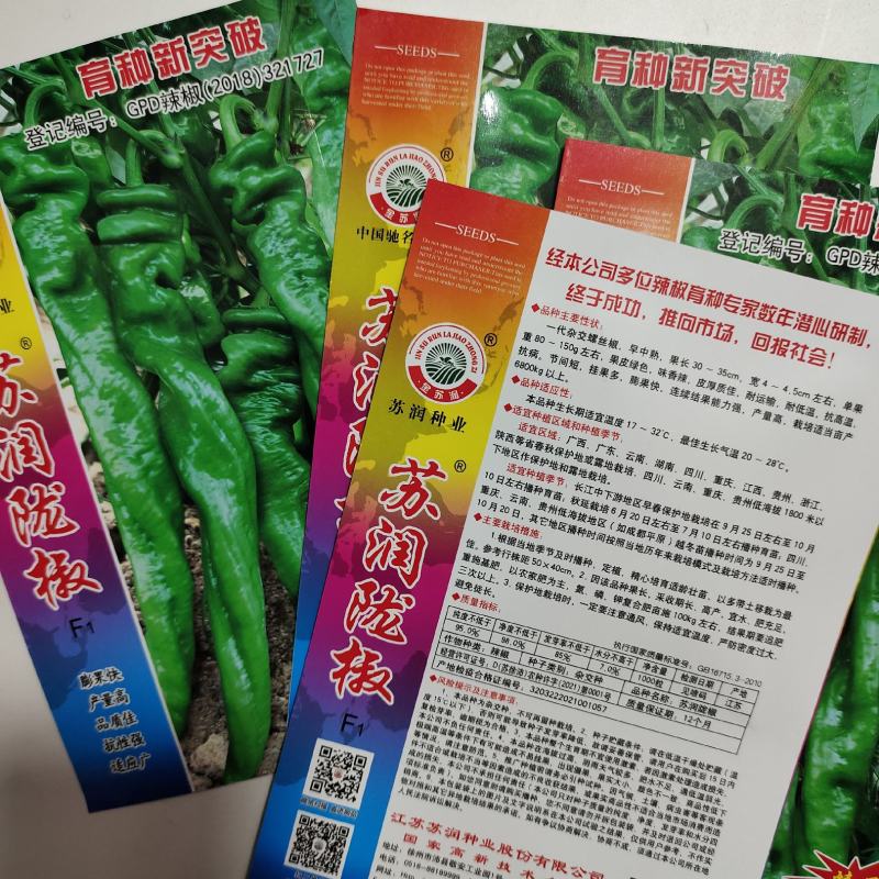 苏润陇椒种子皱皱辣早熟绿色辣椒种子，苏润皱皮椒种子
