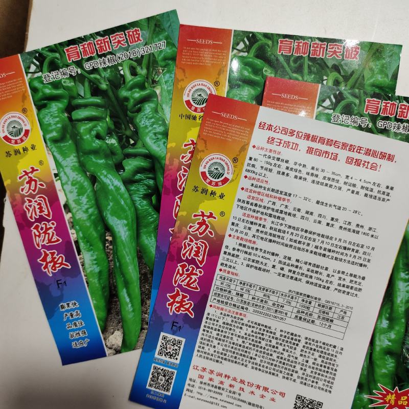 苏润陇椒种子皱皱辣早熟绿色辣椒种子，苏润皱皮椒种子