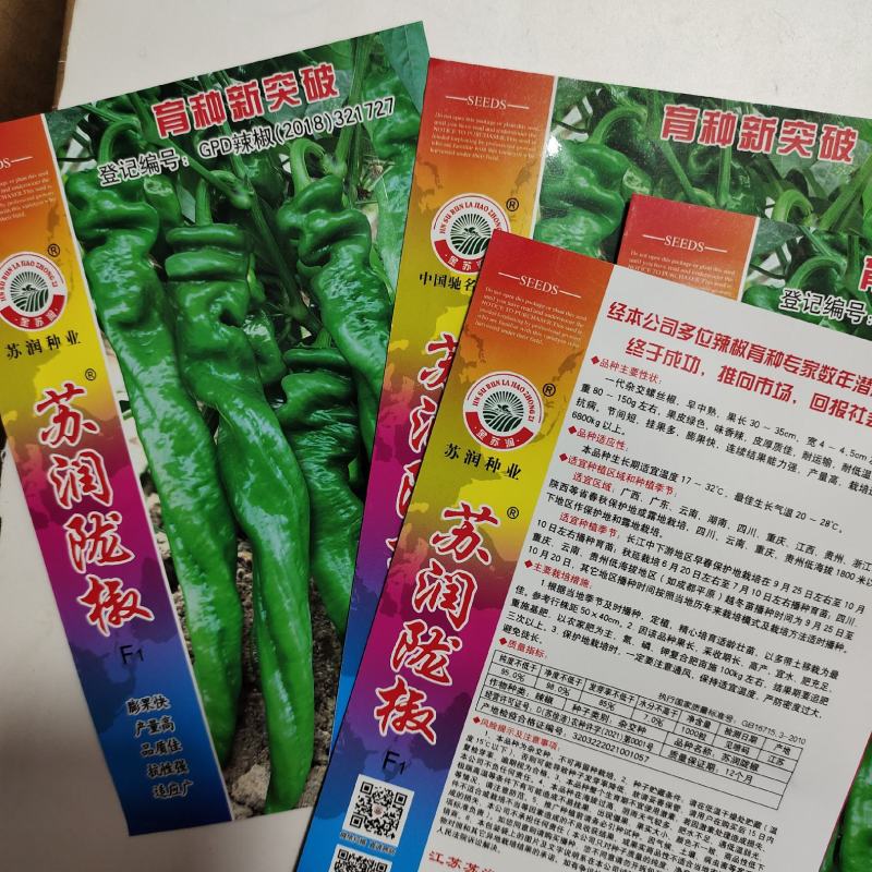 苏润陇椒种子皱皱辣早熟绿色辣椒种子，苏润皱皮椒种子