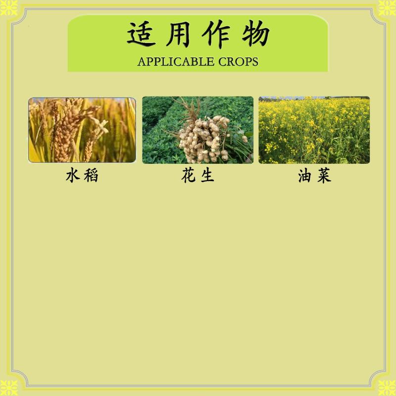 剑牌15%多效唑花生水稻油菜矮壮素柑橘芒果控旺矮化剂