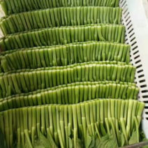 浙江菜苔大量上市中，质量好，价格，新老客户前来咨询