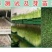 紫花苜蓿种子，多年生四季牧草生长速度快养殖苜蓿种子批发