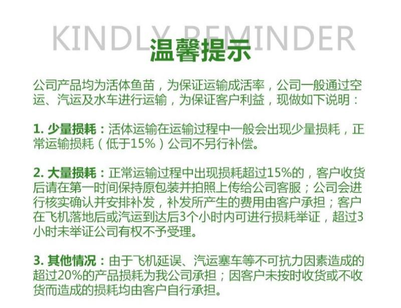 青鱼苗黑鲩鱼苗螺蛳青鱼苗产地直供包邮到达