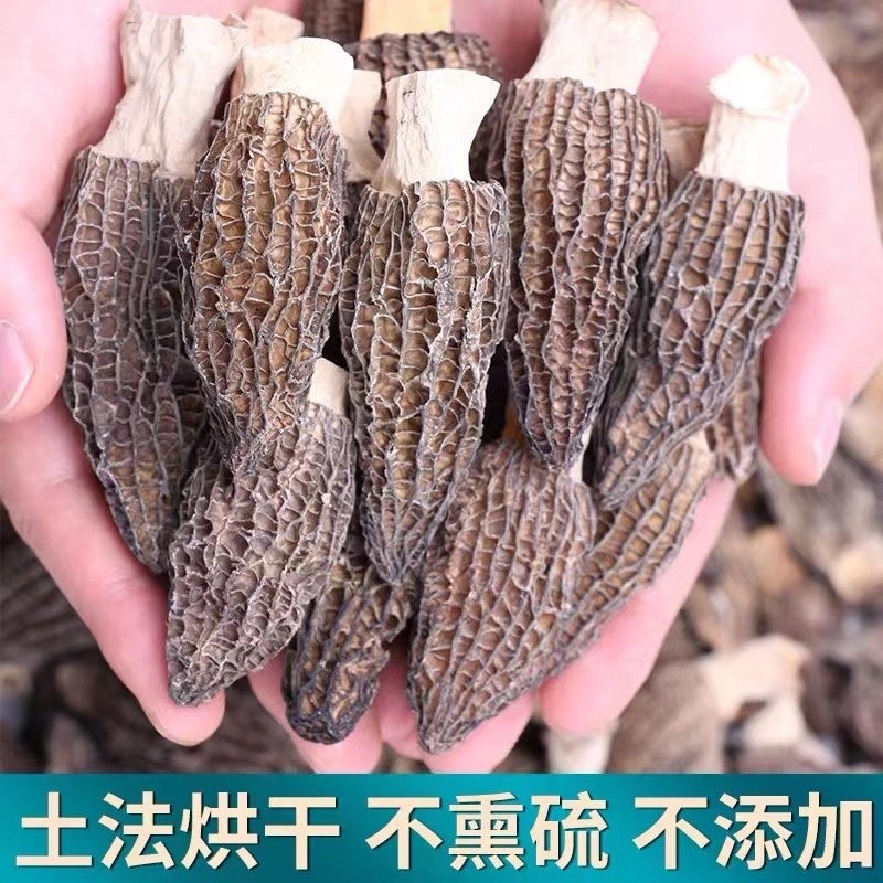 2024新货羊肚菌，自产自销，大山种植，无污染