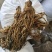 梅干菜散装存货量大，每年两百万斤，可长期供货。