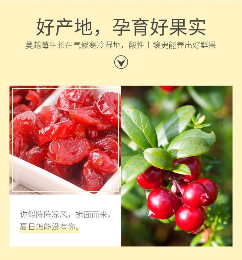 【包邮-1斤蔓越莓干】热销蔓越莓干500g罐装