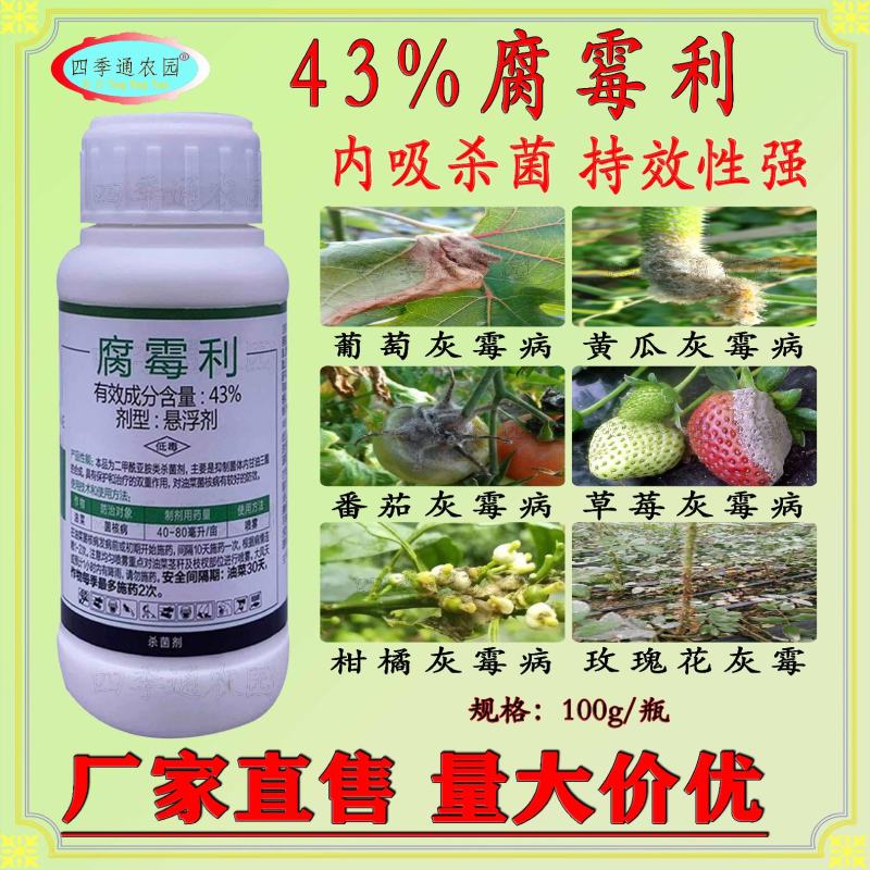 剑牌43%腐霉利葡萄灰霉病油菜菌核病黄瓜灰霉病韭菜菌核病