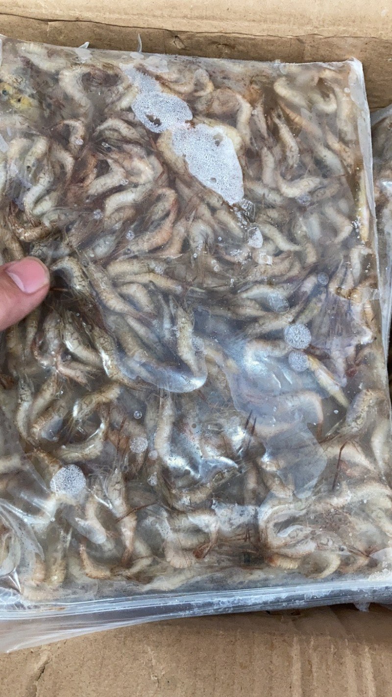 批发河虾湖虾自然水域生态捕捞量大从优对接批发