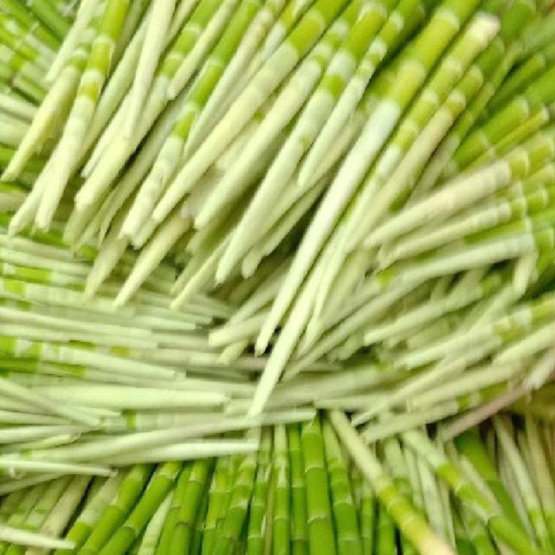 小笋上市