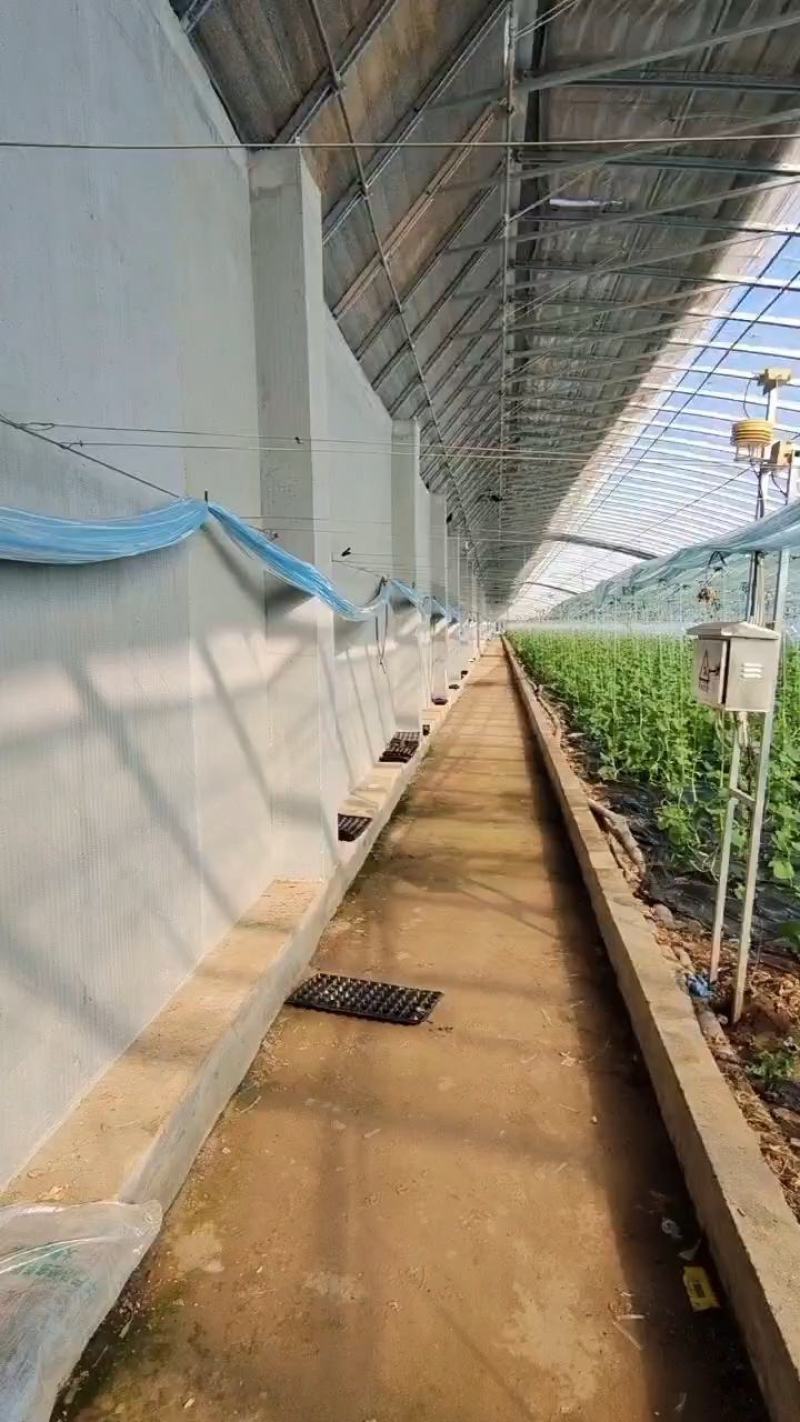 日光温室冬暖式大棚暖棚钢架大棚成套大棚温室大棚蔬菜大棚