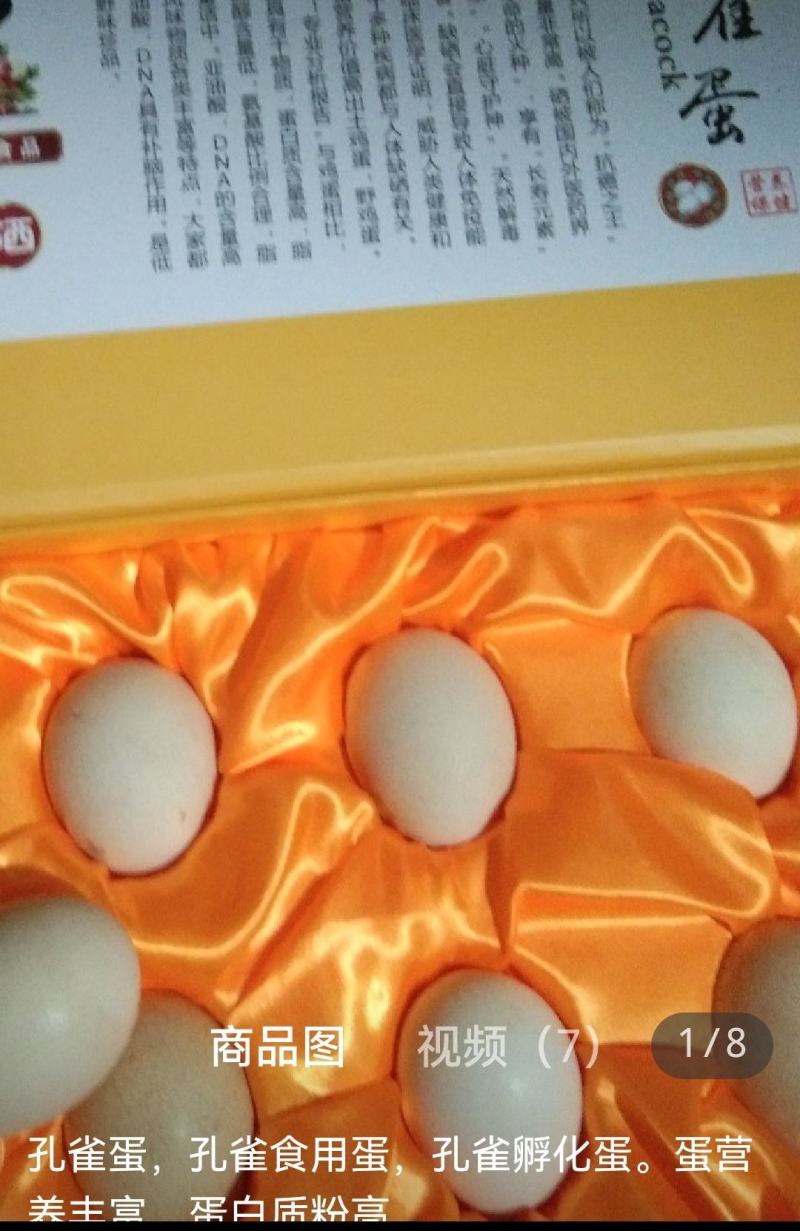 篮孔雀种蛋，孔雀苗，商品苗，五年孔雀