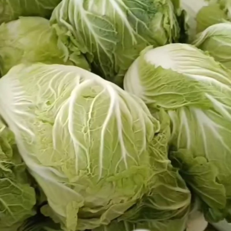 优质黄心大白菜