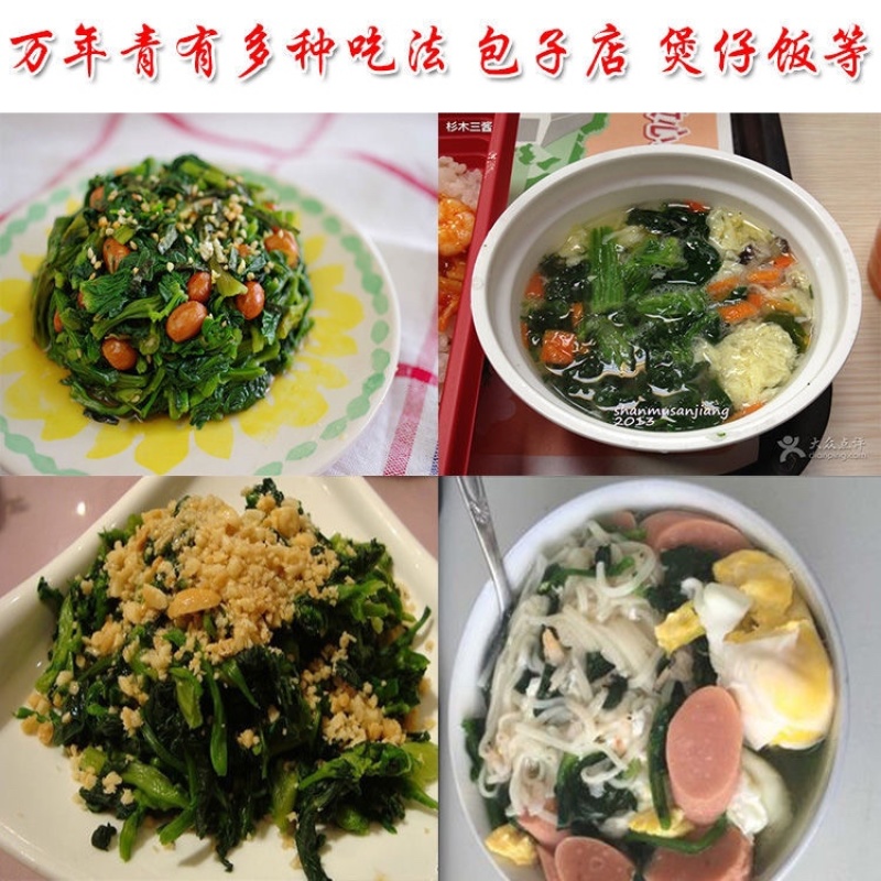 【包邮_脱水小青菜】热销宁波特产优质万年青菜干嫩菜心脱水