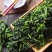 【包邮_脱水小青菜】热销宁波特产优质万年青菜干嫩菜心脱水