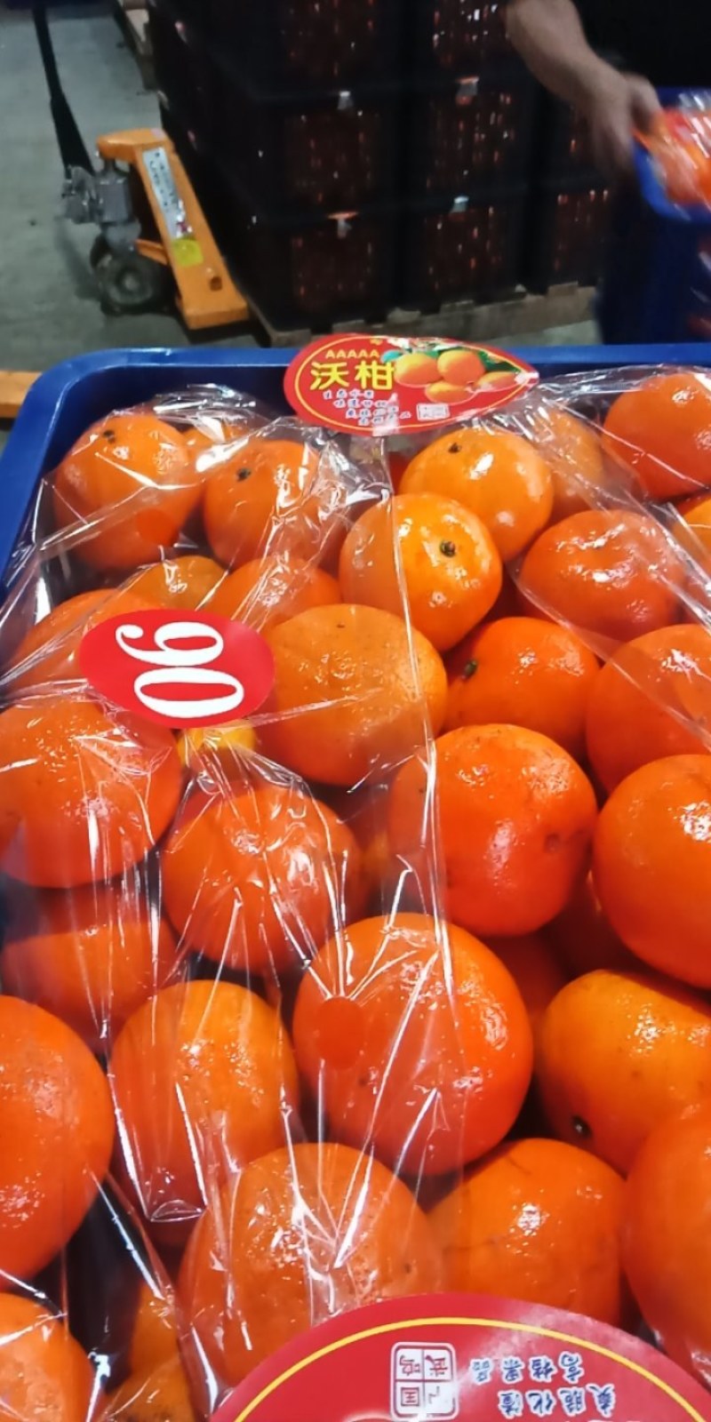 沃柑二级果大量有货日供10万斤广西桂林荔浦基地发货来电