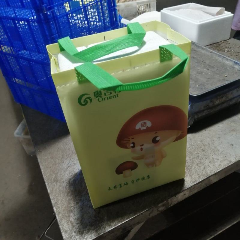奥吉特牛排菇