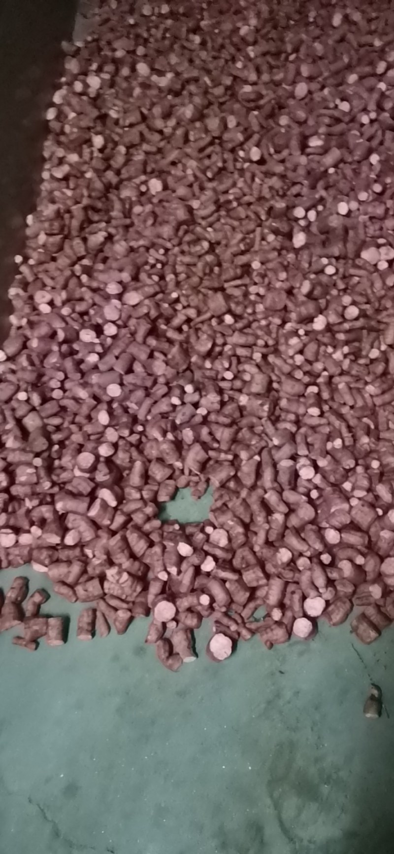 瓜篓苗