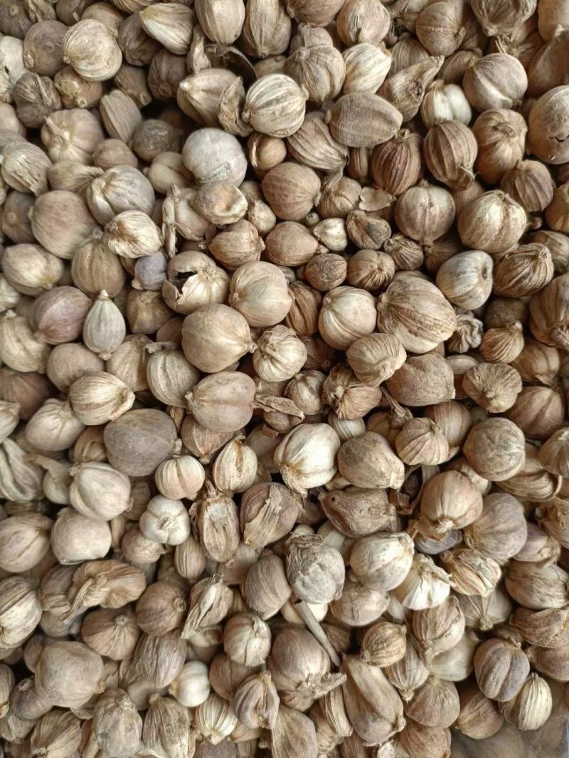 原色白豆蔻，不熏硫磺，不漂白，足斤足两颜色不是很白，