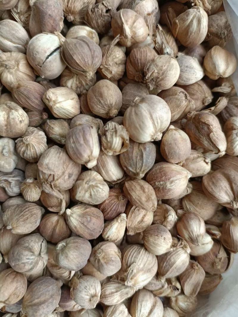 原色白豆蔻，不熏硫磺，不漂白，足斤足两颜色不是很白，
