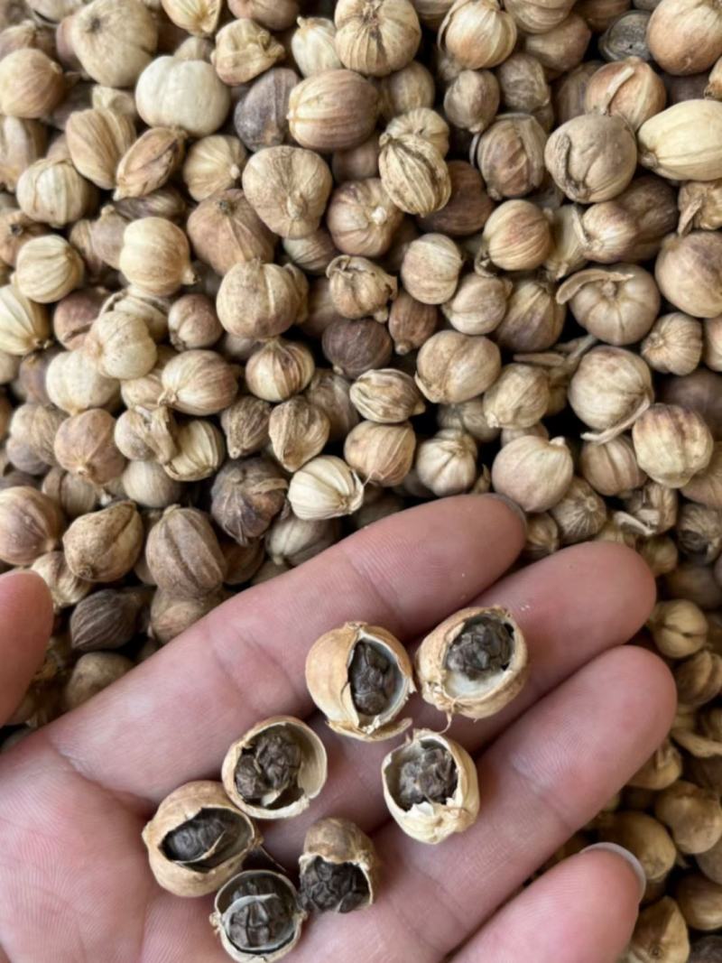 原色白豆蔻，不熏硫磺，不漂白，足斤足两颜色不是很白，
