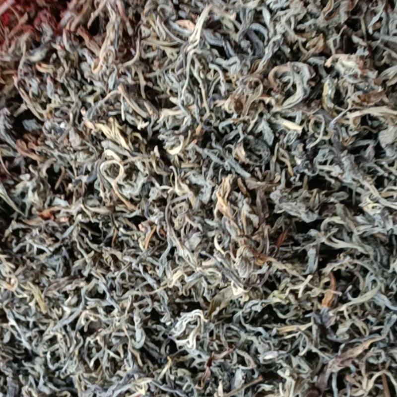 老鹰茶野生，货源来自贵州省遵义市绥阳县太白镇，质量保证。