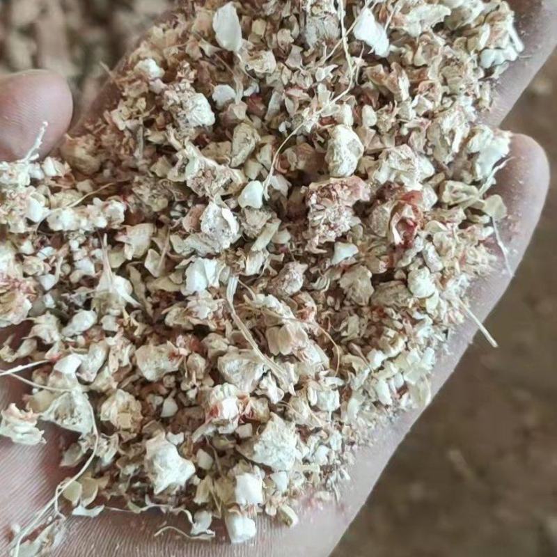 优质玉米芯颗粒，长年有货，支持视频看货，普通软包，压块，