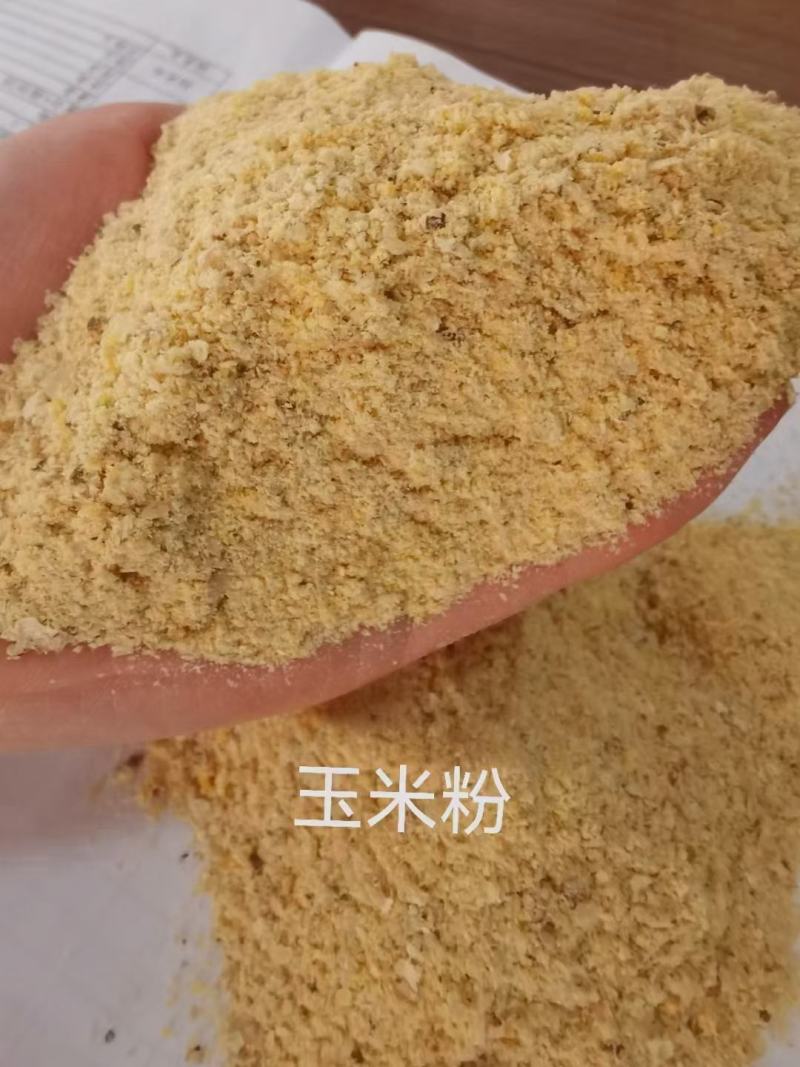 玉米粉，指标可以代替40%玉米。节省成本。