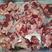 千子骨20斤剔骨肉，猪头肉上的肉，颜色好肉多