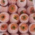 推荐普罗旺斯西红柿销售代办产地直销可视频看货