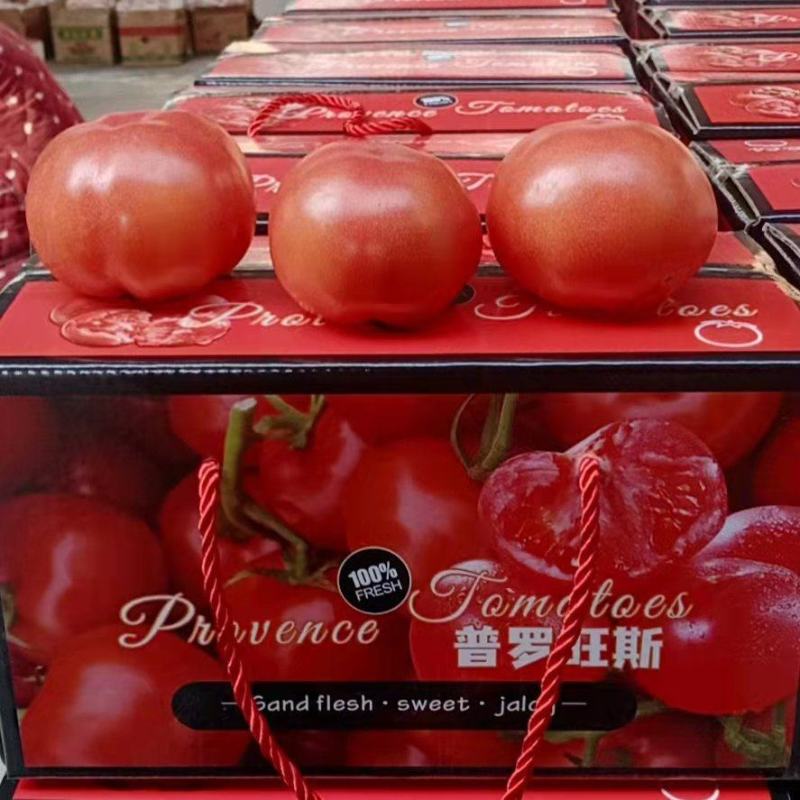 推荐普罗旺斯西红柿销售代办产地直销可视频看货