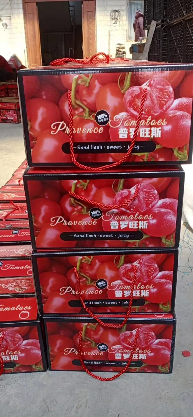 推荐普罗旺斯西红柿销售代办产地直销可视频看货