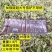 推雪铲特大号加宽收粮食清粪铲猛钢加厚养殖场多用铲农用除雪