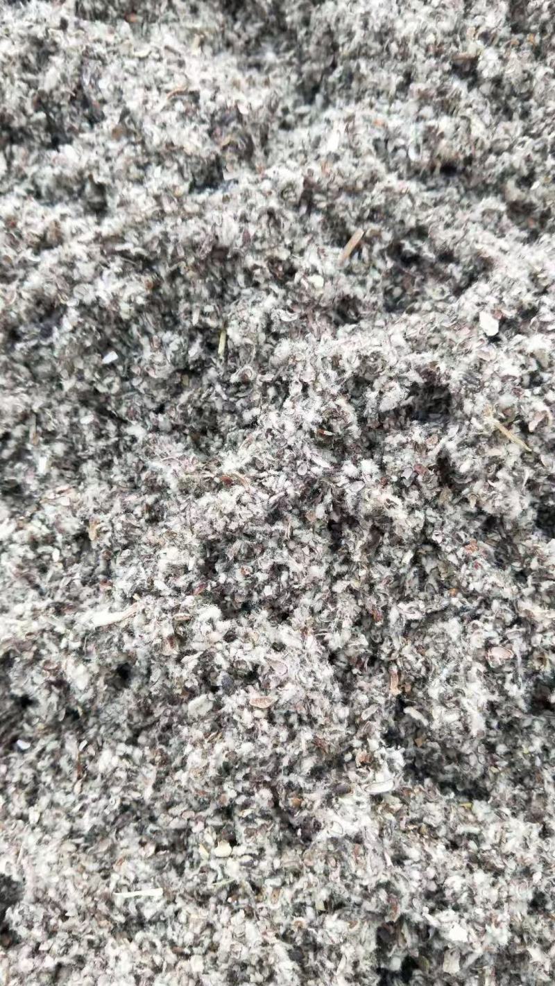 新疆棉籽壳量大优惠一手货源厂家直发