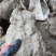 8斤以上一个重盆景何首乌山里货，有需要的老板请联系