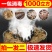 兽用烟熏消毒王猪养殖场消毒液圈舍消毒剂驱蚊蝇除氨气艾草消