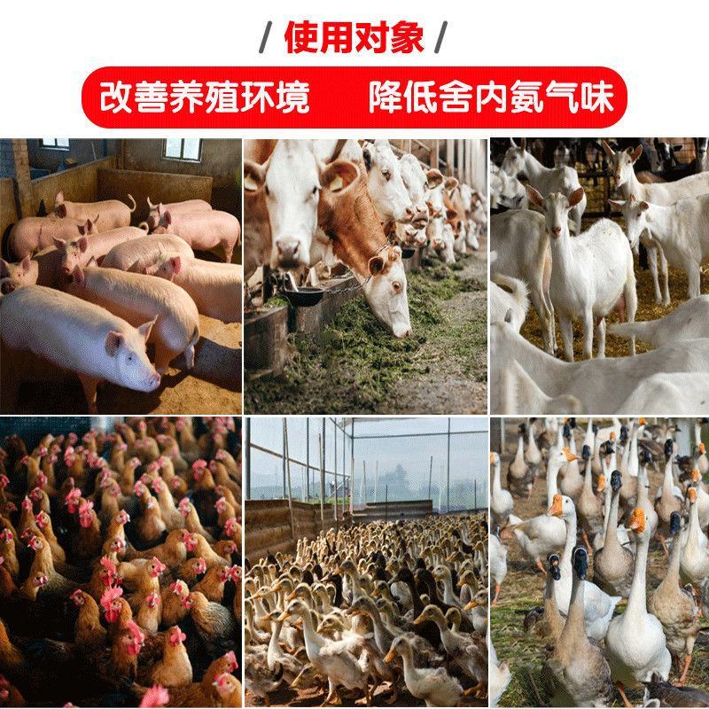 兽用烟熏消毒王猪养殖场消毒液圈舍消毒剂驱蚊蝇除氨气艾草消