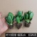 玉树盆栽老桩耐旱多肉植物室内桌面防辐射植物盆栽大型玉树燕