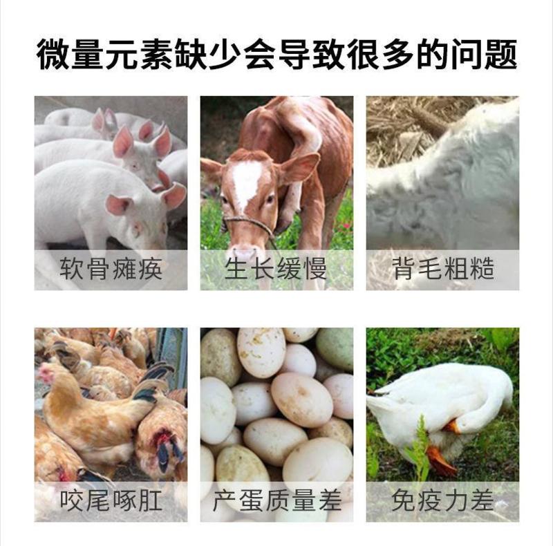 钙磷镁锌十八补兽用牛羊速补钙微量元素鸡鸭鹅补钙饲料添加剂