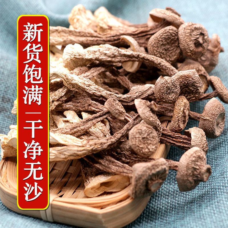 [鹿茸菇]新鲜鹿茸菌干货农家特产食用菌煲汤食材无硫特价