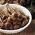 [鹿茸菇]新鲜鹿茸菌干货农家特产食用菌煲汤食材无硫特价