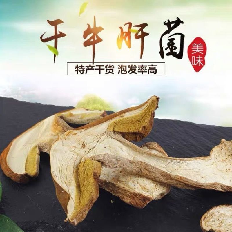 野生牛肝菌非云南黄白牛肝菌新货美味牛肝菌野生菌子新鲜煲汤